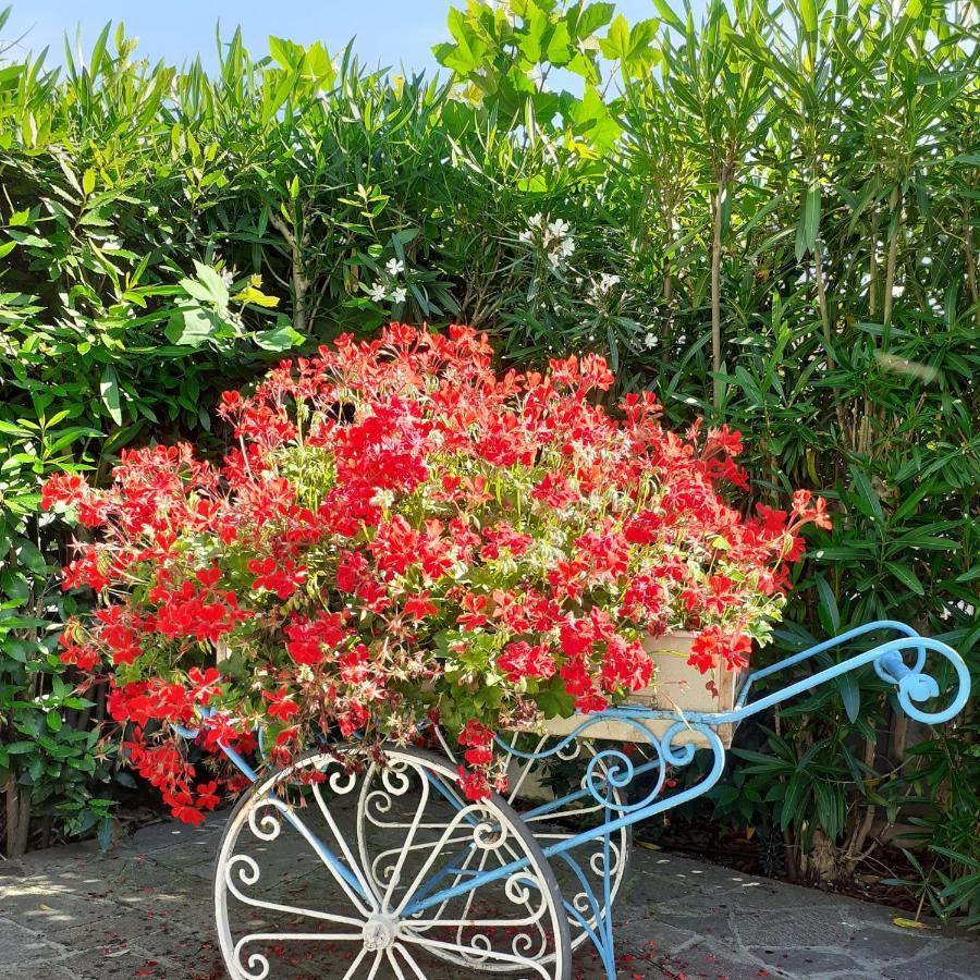Hotel Garden Marotta